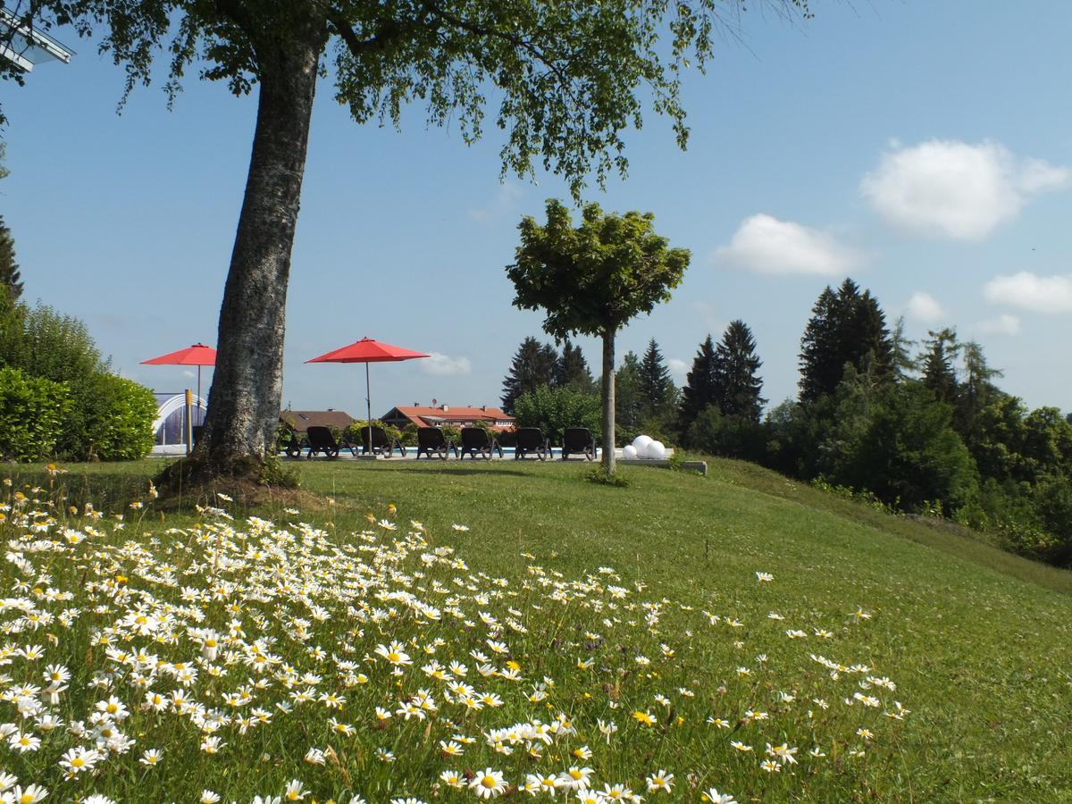 Gastehaus Pension Bergwald Scheidegg Esterno foto